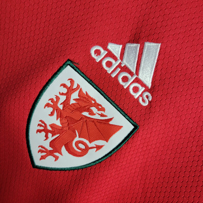 22-23 Wales Home