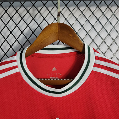 22-23 Wales Home