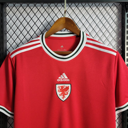 22-23 Wales Home